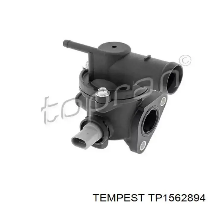 Радиатор TP1562894 Tempest