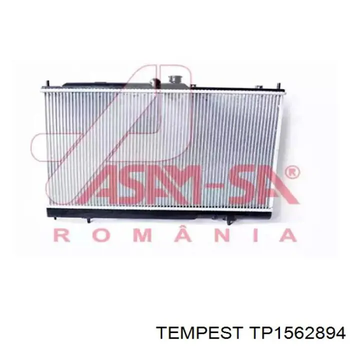 TP1562894 Tempest Радиатор основной