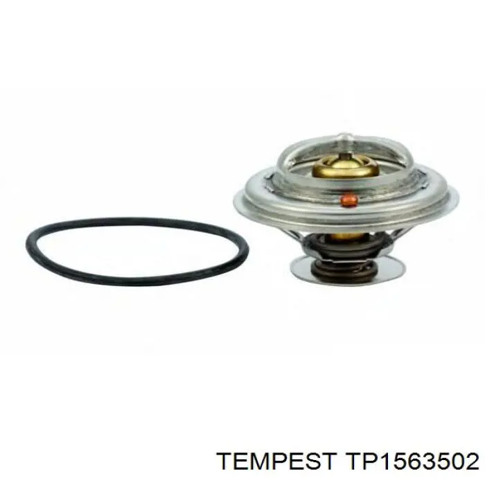 TP1563502 Tempest Радиатор основной