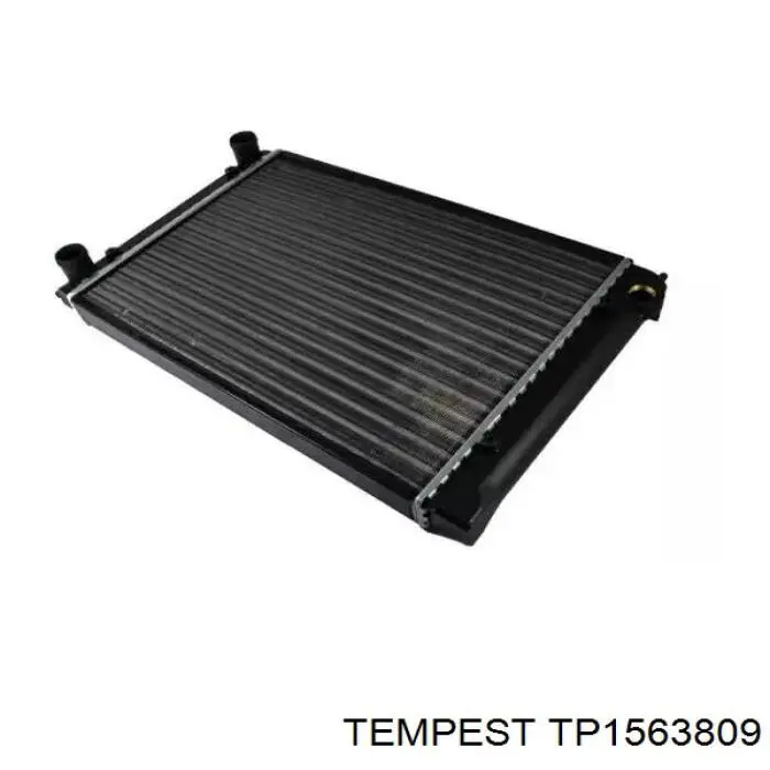 TP1563809 Tempest