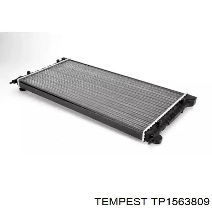 TP1563809 Tempest Радиатор основной