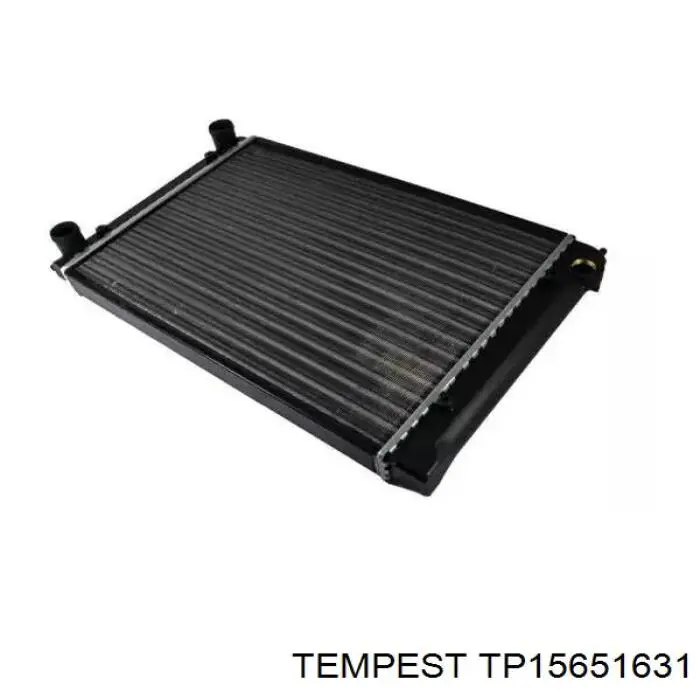 TP15651631 Tempest Радиатор основной