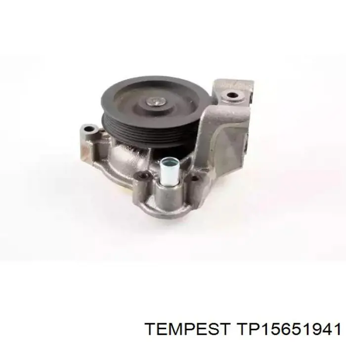 TP15651941 Tempest Радиатор основной