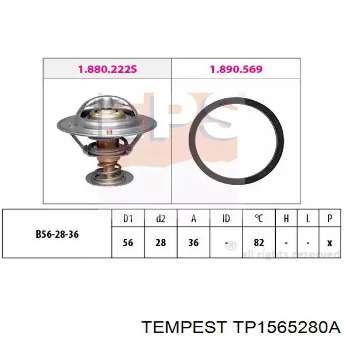 Купить TP1565280A Tempest Радиатор водяной