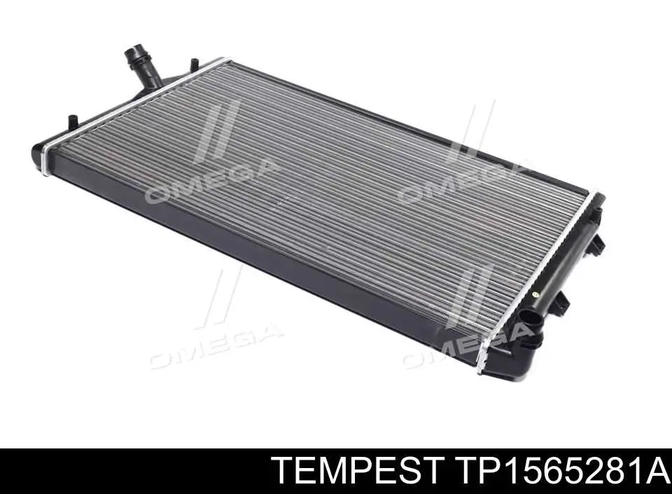TP1565281A Tempest радиатор