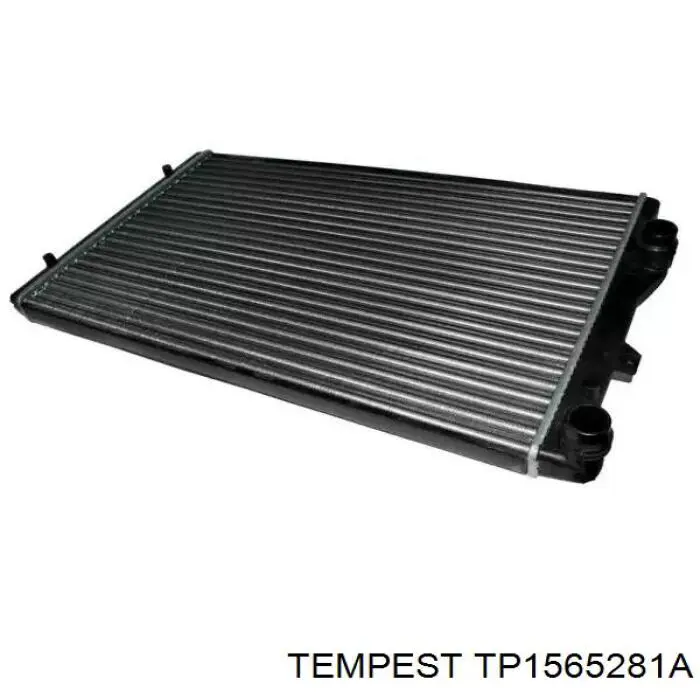 TP1565281A Tempest Радиатор основной