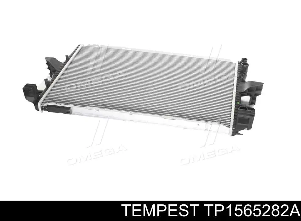 Радиатор TP1565282A Tempest