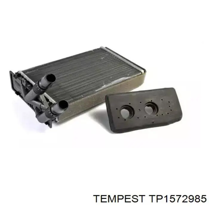 TP1572985 Tempest радиатор печки
