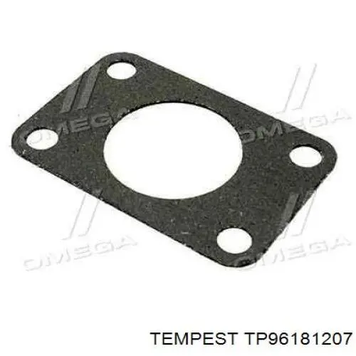 Прокладка коллектора TP96181207 Tempest