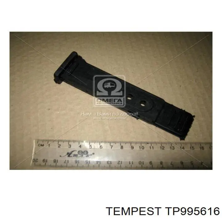 TP99-56-16 Tempest consola do pára-lama traseiro