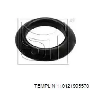 110121905570 Templin 