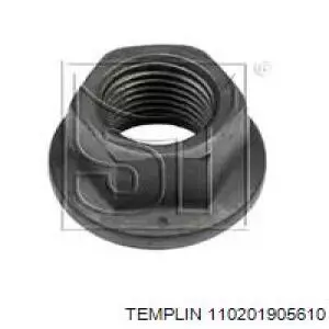 Гайка колесная 110201905610 Templin
