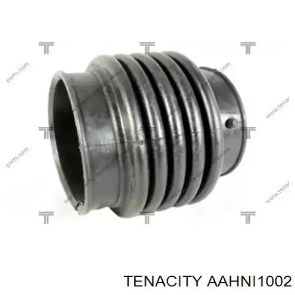  AAHNI1002 Tenacity