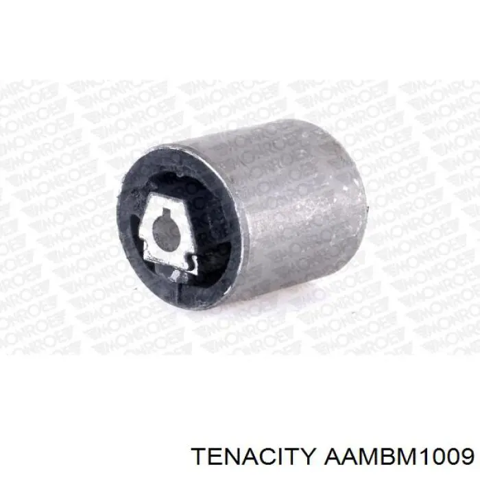 AAMBM1009 Tenacity