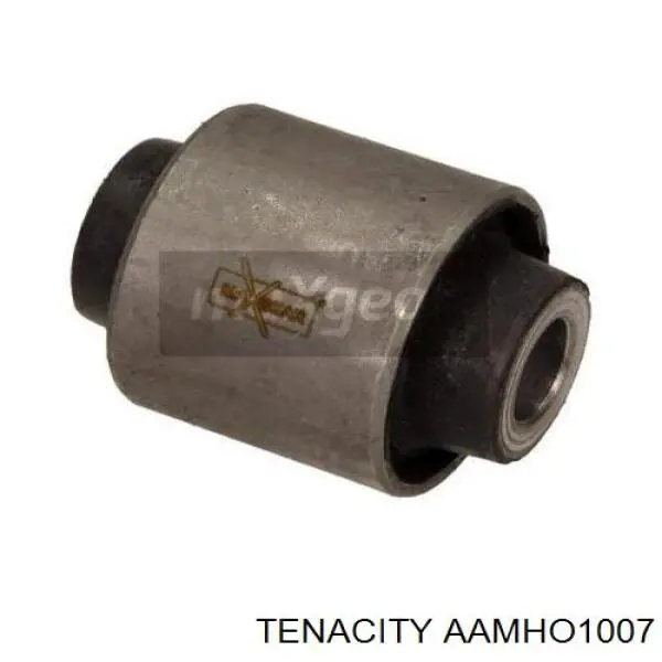 AAMHO1007 Tenacity