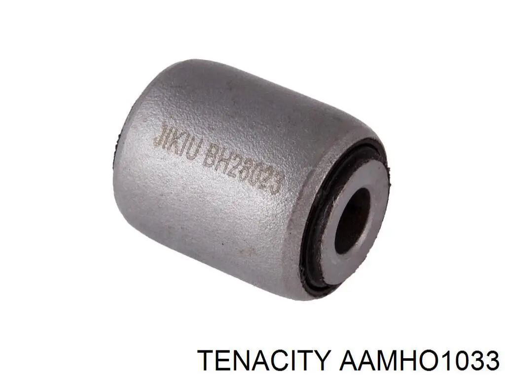 AAMHO1033 Tenacity