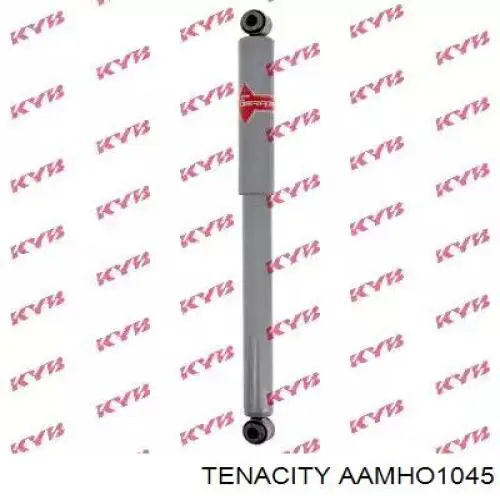 AAMHO1045 Tenacity