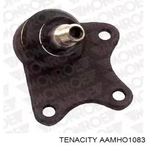  AAMHO1083 Tenacity