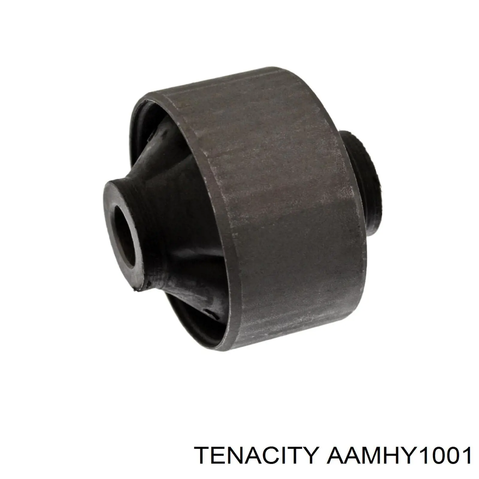 AAMHY1001 Tenacity