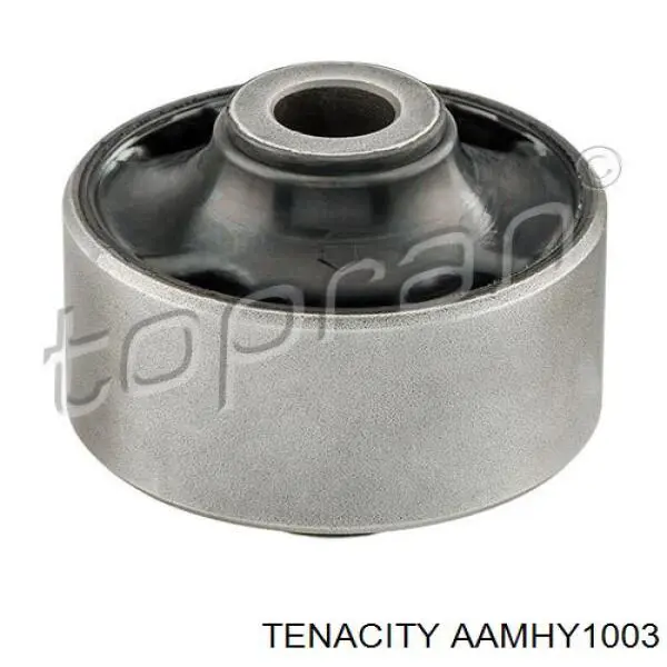 AAMHY1003 Tenacity Сайлентблок нижнего переднего рычага