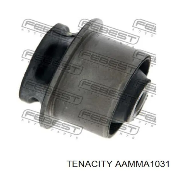 AAMMA1031 Tenacity