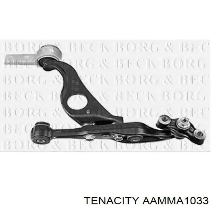 Сайлентблок переднего рычага AAMMA1033 Tenacity