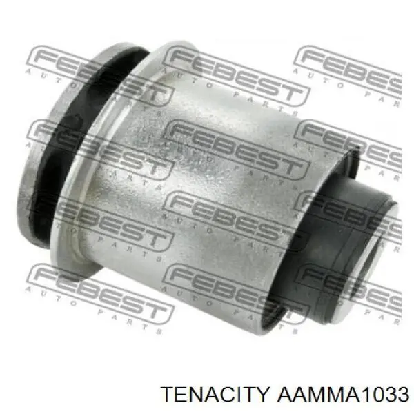 AAMMA1033 Tenacity