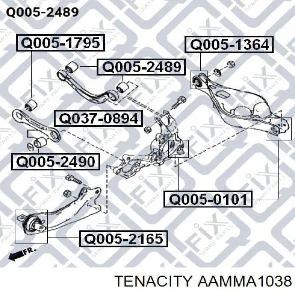 AAMMA1038 Tenacity