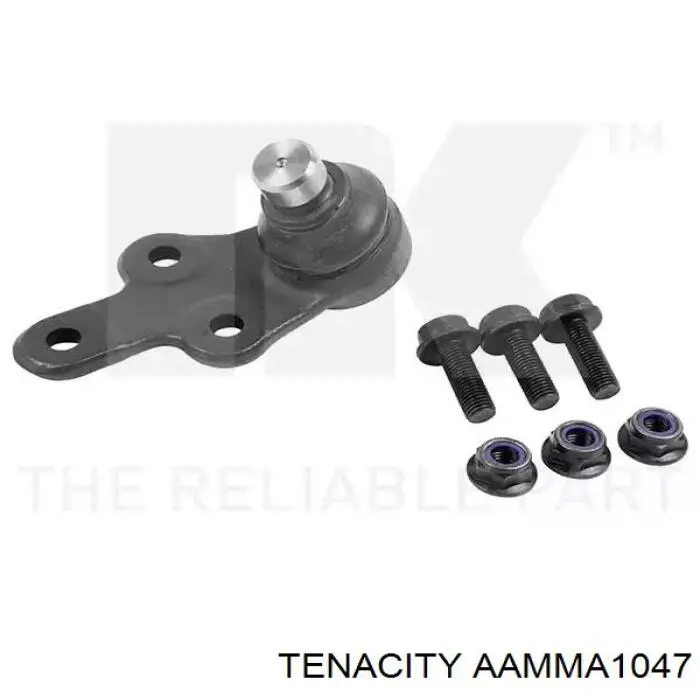 AAMMA1047 Tenacity