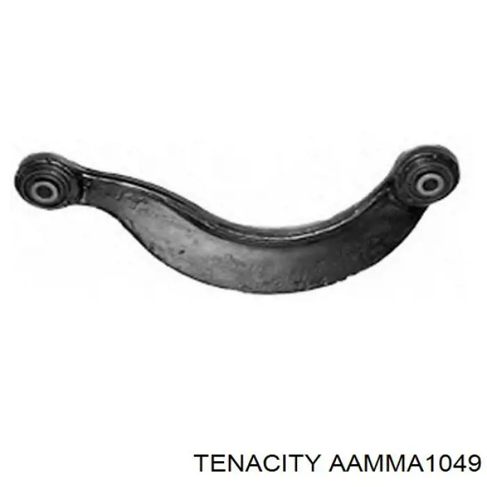 AAMMA1049 Tenacity