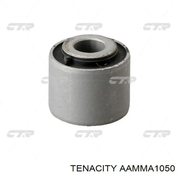 AAMMA1050 Tenacity