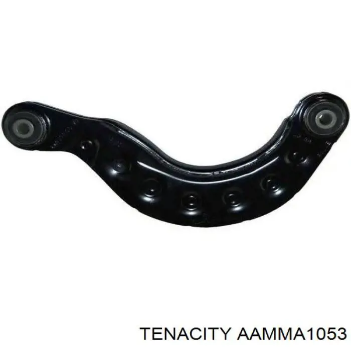 Сайлентблок заднего верхнего рычага AAMMA1053 Tenacity