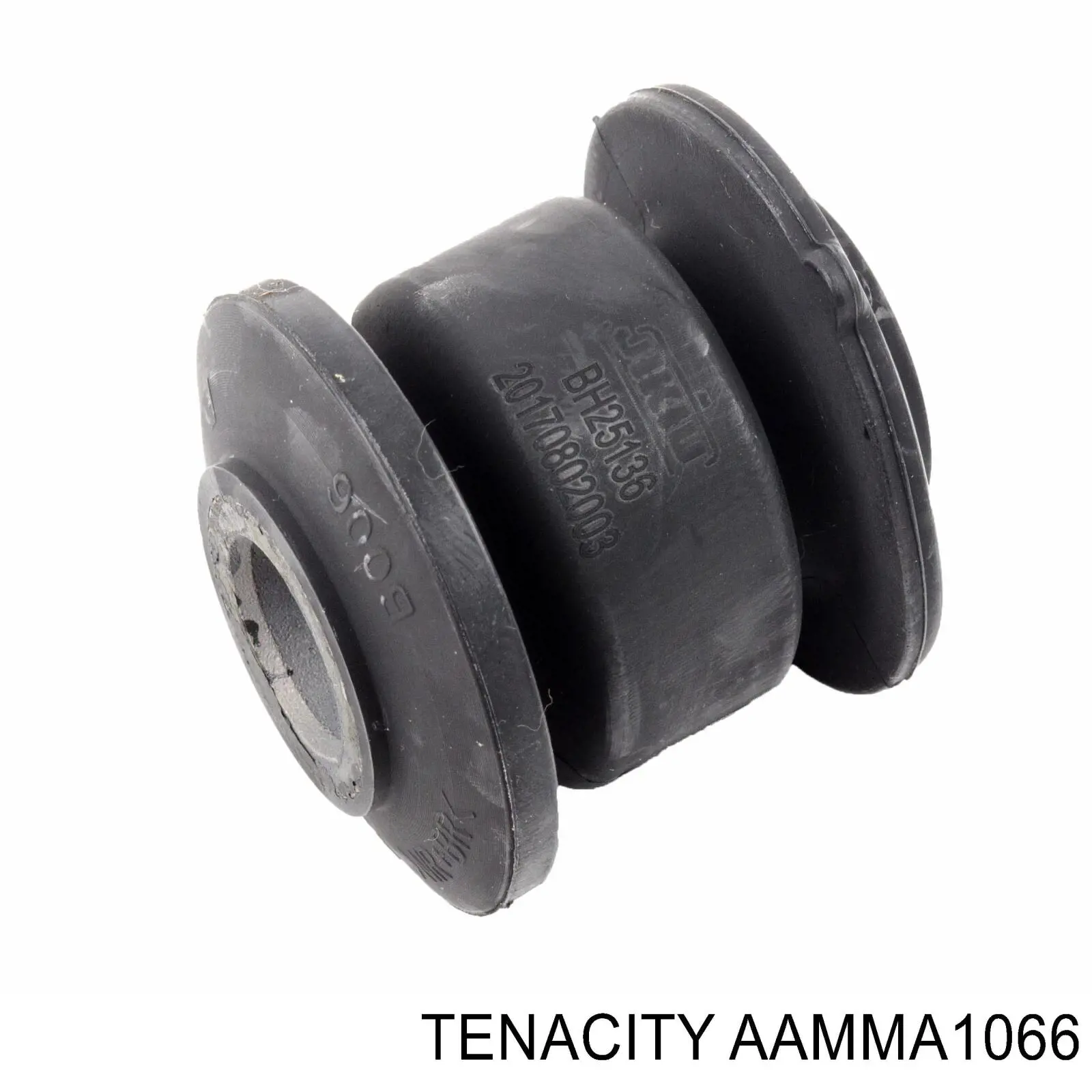 AAMMA1066 Tenacity