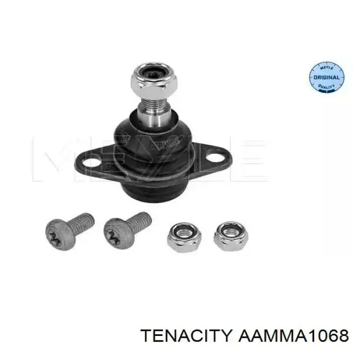 AAMMA1068 Tenacity