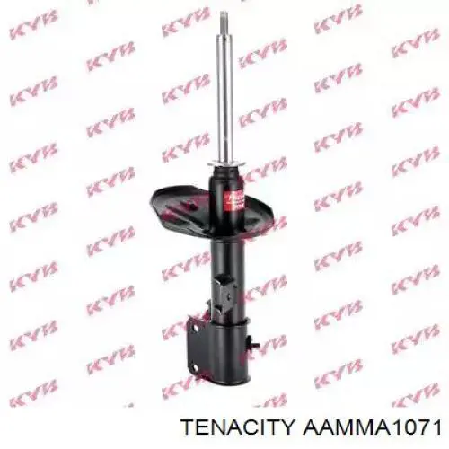 AAMMA1071 Tenacity