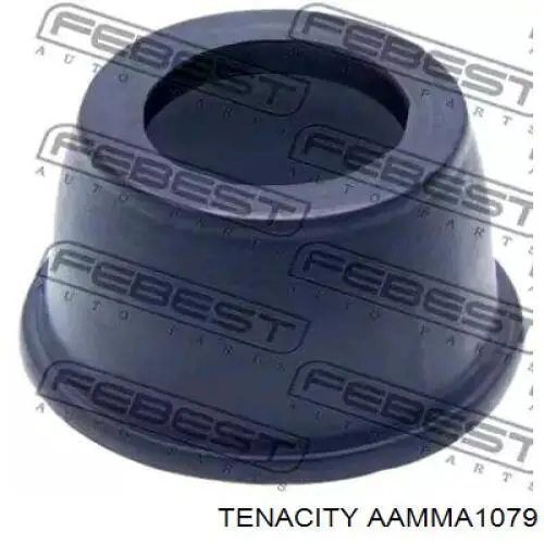 Рычаг передней подвески левый AAMMA1079 Tenacity