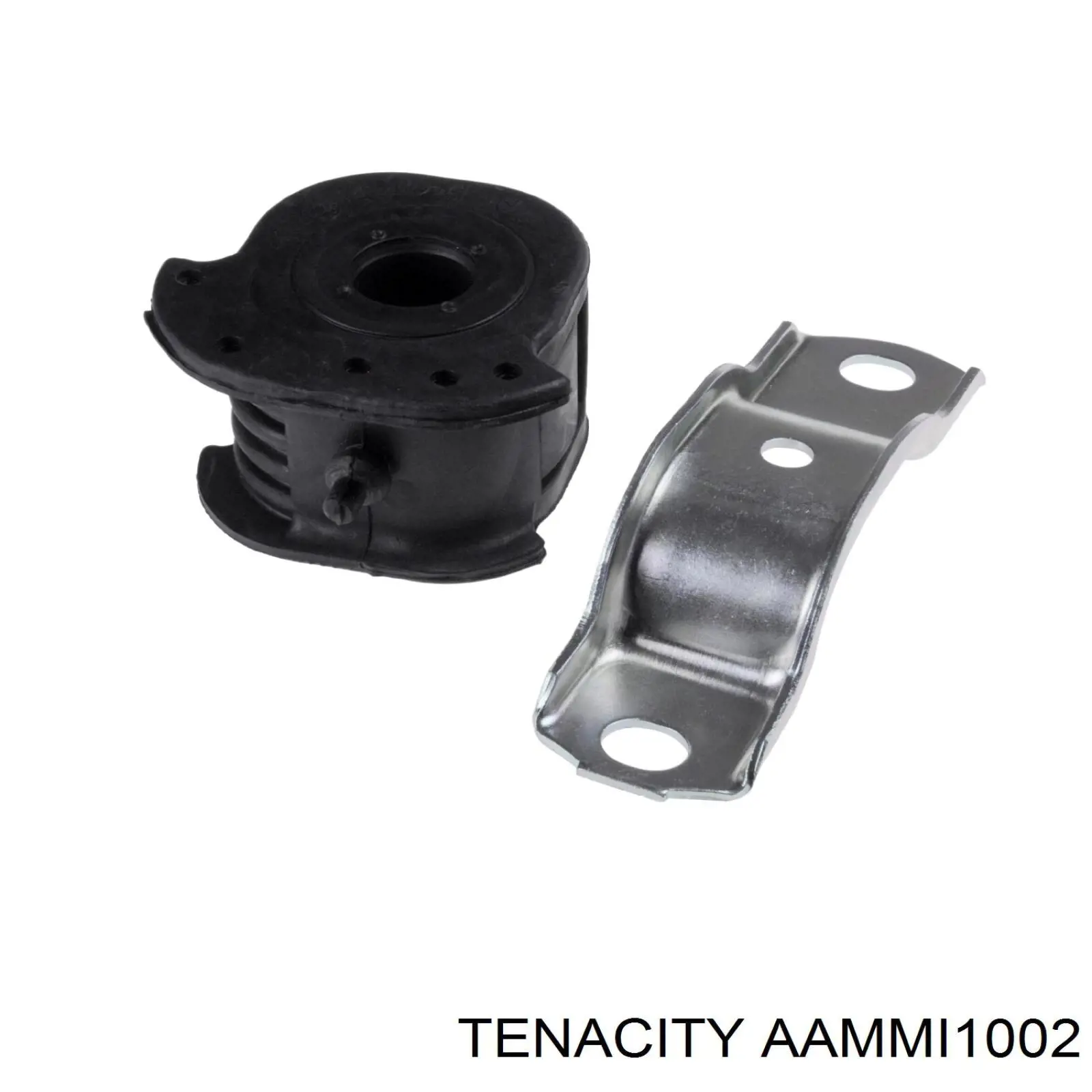 AAMMI1002 Tenacity