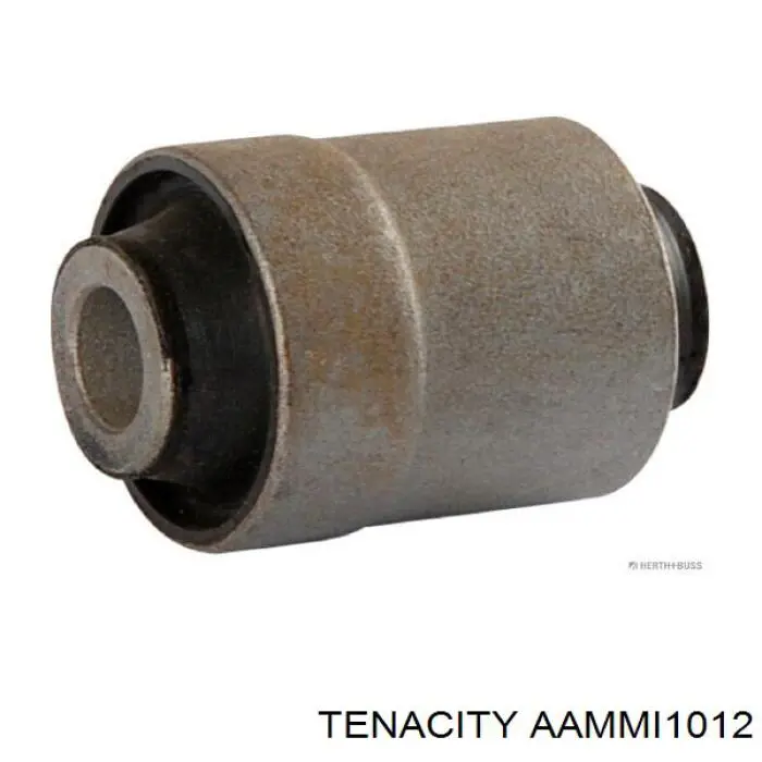 AAMMI1012 Tenacity