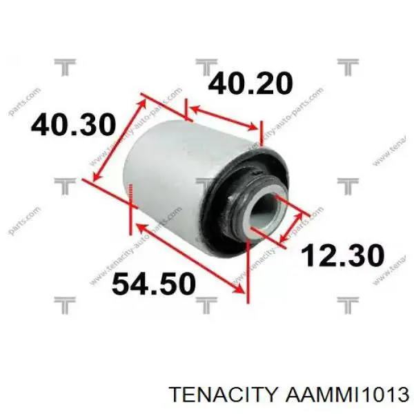 AAMMI1013 Tenacity сайлентблок переднего нижнего рычага