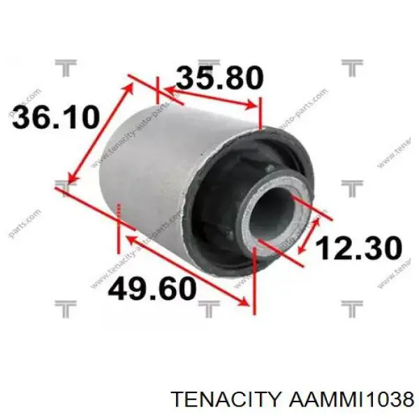AAMMI1038 Tenacity Сайлентблок нижнего переднего рычага