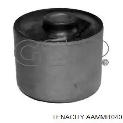 AAMMI1040 Tenacity