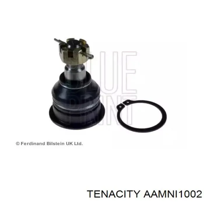 AAMNI1002 Tenacity Сайлентблок нижнего переднего рычага