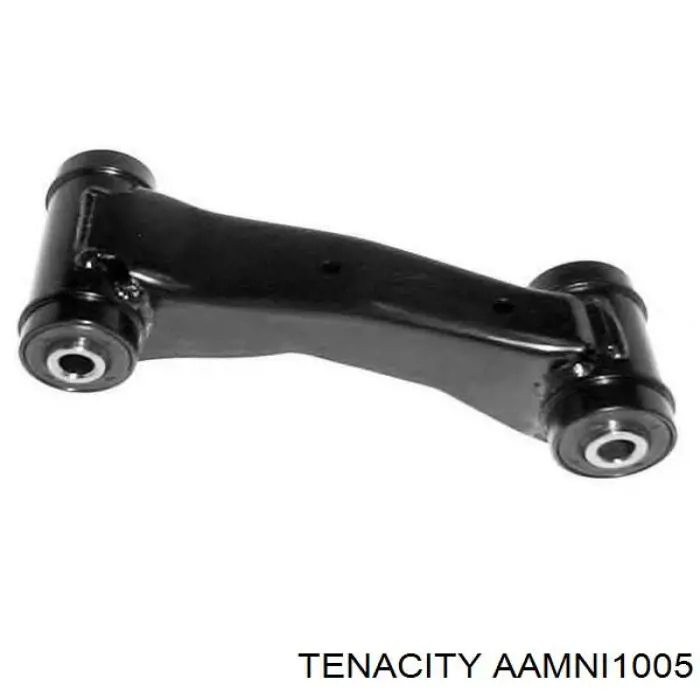 AAMNI1005 Tenacity Сайлентблок нижнего переднего рычага
