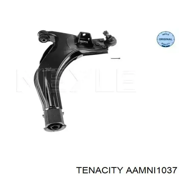 AAMNI1037 Tenacity Сайлентблок нижнего переднего рычага