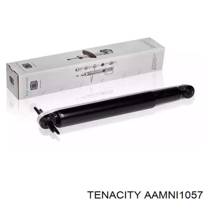 AAMNI1057 Tenacity