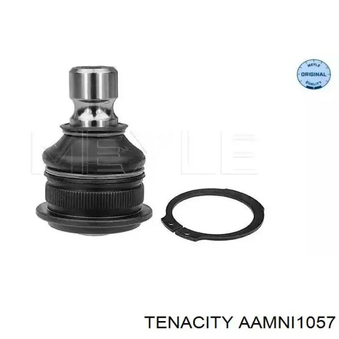AAMNI1057 Tenacity Сайлентблок нижнего переднего рычага