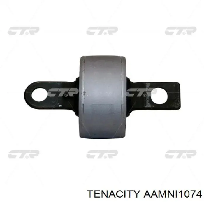 AAMNI1074 Tenacity Сайлентблок нижнего переднего рычага