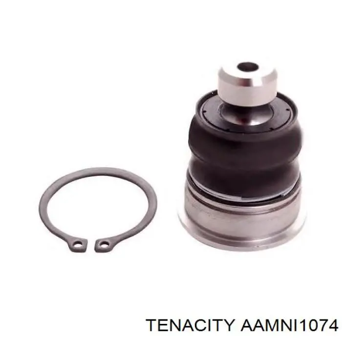 AAMNI1074 Tenacity Сайлентблок нижнего переднего рычага