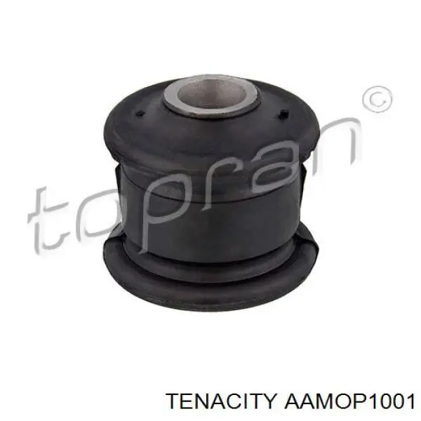 AAMOP1001 Tenacity