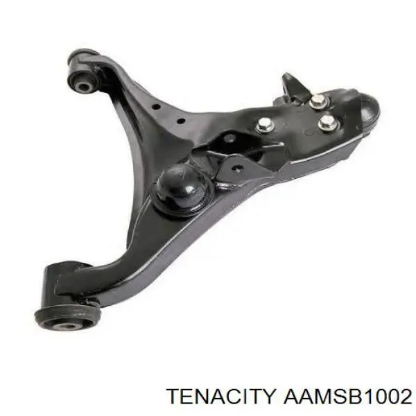 Купить AAMSB1002 Tenacity Сайлентблок нижний передней подвески